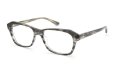 Oliver Goldsmith オリバーゴールドスミス メガネ通販 HAYMARKET Grey Tortoiseshell