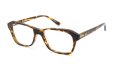 Oliver Goldsmith オリバーゴールドスミス メガネ通販 HAYMARKET Burnt Broun