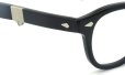 MOSCOT 100YEARS カスタム LEMTOSH-FOLD COL.BLACK