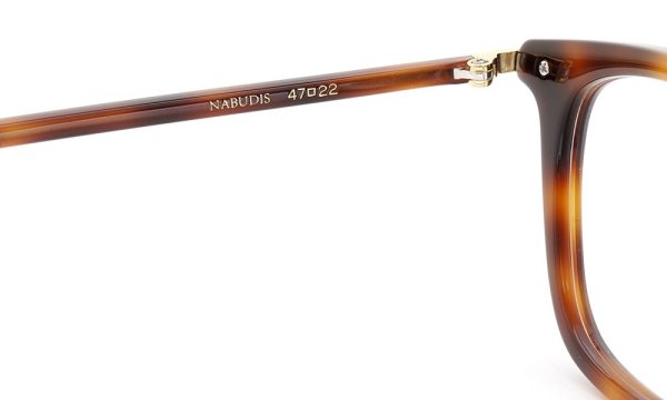 NABUDIS ナブディス  DTR