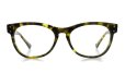 Oliver Goldsmith ANNABEL-f Olive Tortoiseshell