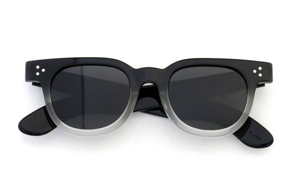 JULIUS TART OPTICAL 通販 FDR-48 PL-006B