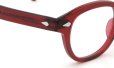 MOSCOT LEMTOSH RUBY 46size