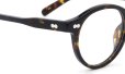 MOSCOT MILTZEN TORTOISE 46