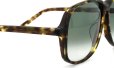 Oliver Goldsmith AMERICA(1972) Olive Tortoiseshell