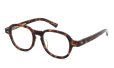 Oliver Goldsmith ROBYN Darker Tortoiseshell