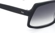 Oliver Goldsmith PAW PAW Black