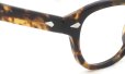 MOSCOT LEMTOSH CLASSIC HAVANA 44size