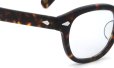 MOSCOT レムトッシュ サングラス TORTOISE EXライトグレーレンズ