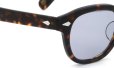 MOSCOT レムトッシュ サングラス TORTOISE ミドルグレーレンズ