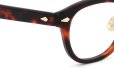 MOSCOT 限定生産メガネ通販 LEMTOSH 49size JPN LTD-XIV B TORT