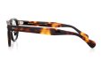 MOSCOT 限定生産サングラス通販 LEMTOSH 46size JPN LTD 18 B TORT PEWTER/GRY