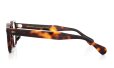 MOSCOT 限定生産メガネ通販 LEMTOSH 46size JPN LTD 18 B TORT PEWTER