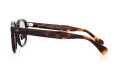 MOSCOT 限定生産サングラス通販 LEMTOSH 49size JPN LTD 18 B TORT PEWTER/GRY
