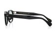 MOSCOT 限定生産サングラス通販 LEMTOSH 46size JPN LTD 18 BK PEWTER/GRY
