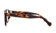 MOSCOT 限定生産メガネ通販 LEMTOSH 49size B TORT PEWTER JPN LTD 18