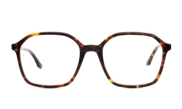 PETER AND MAY ピーターアンドメイ 多角形メガネ通販 ALMA col.TORTOISE