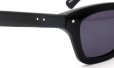 PETER AND MAY コラボレーションサングラス通販 VAILLANT col.BLACK
