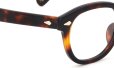 MOSCOT 限定生産メガネ通販 LEMTOSH BURNT TORTG 49□22size JPN LTD 19
