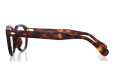 MOSCOT 限定生産メガネ通販 LEMTOSH BURNT TORTG 46□22size JPN LTD 19