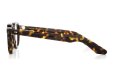 MOSCOT モスコット メガネ通販 DAHVEN 50 TORTOISE