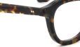 MOSCOT モスコット メガネ通販 DAHVEN 50 TORTOISE