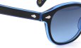 MOSCOT 110周年記念 限定サングラス LEMTOSH レムトッシュ BLUE 110 LE/DENIM BLUE 49□24