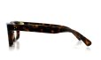 Oliver Goldsmith メガネ VICE CONSUL-g Dark Tortoiseshell 側面