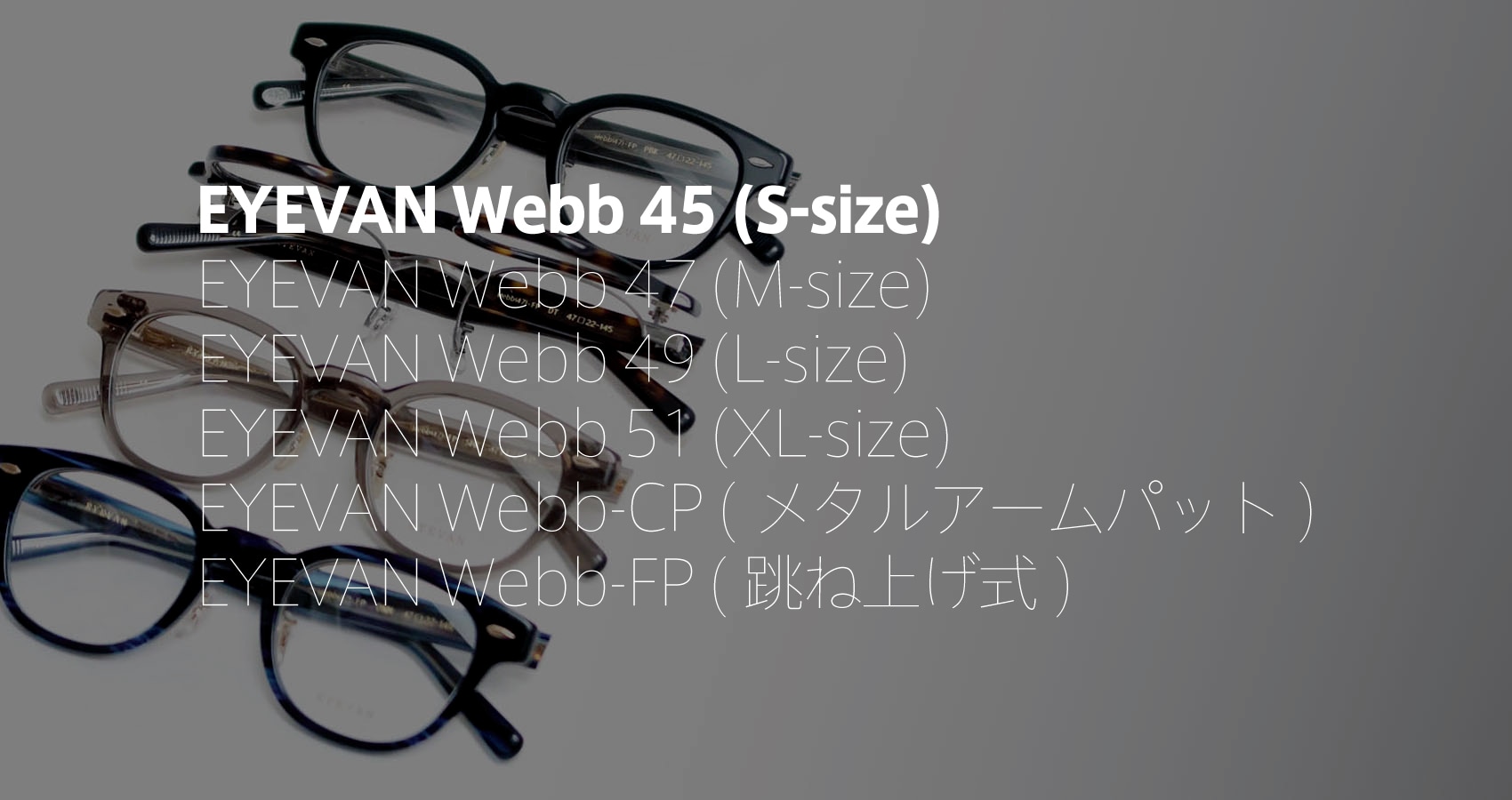 EYEVAN 定番Webb45サイズ
