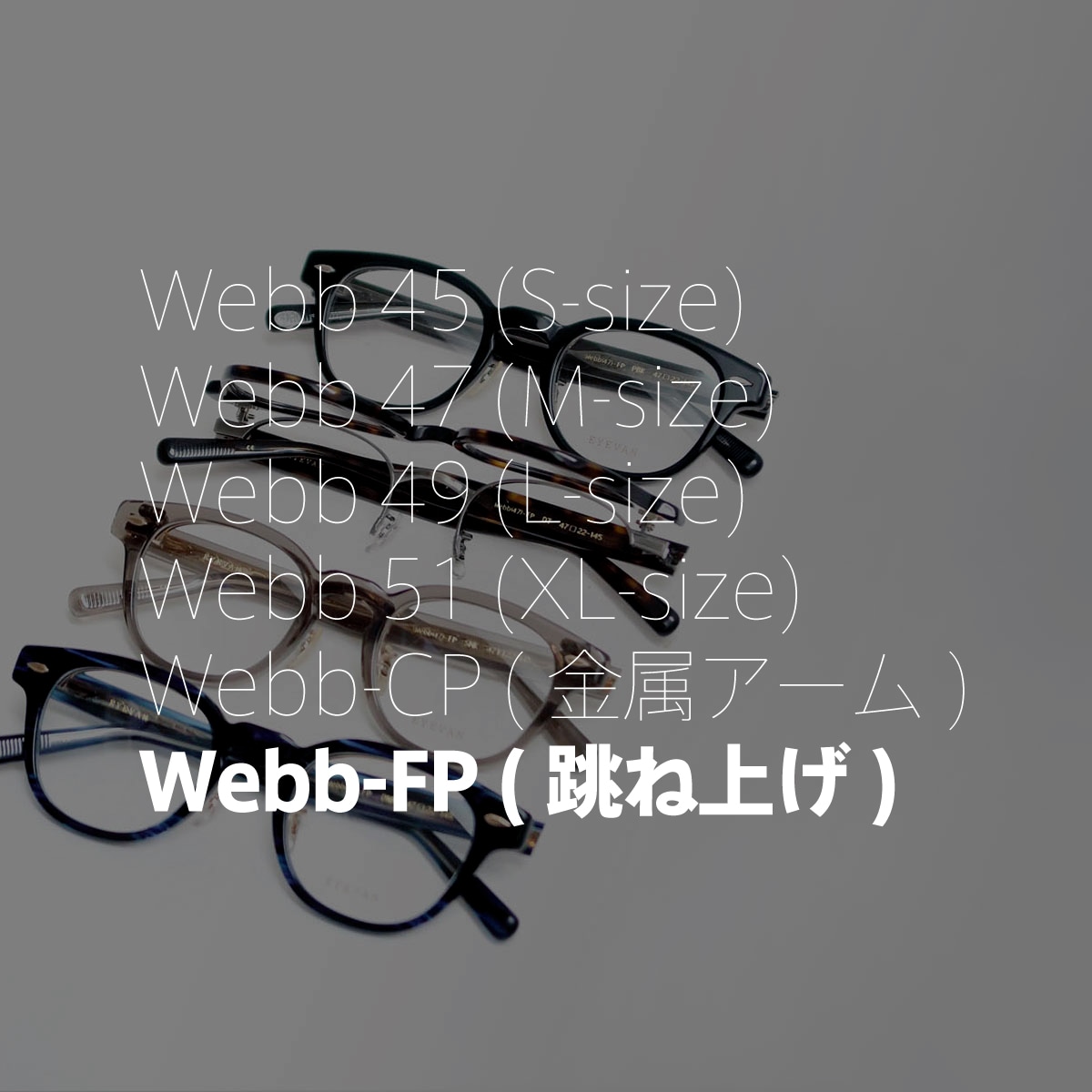 EYEVAN Webb-FP(フリップアップ)