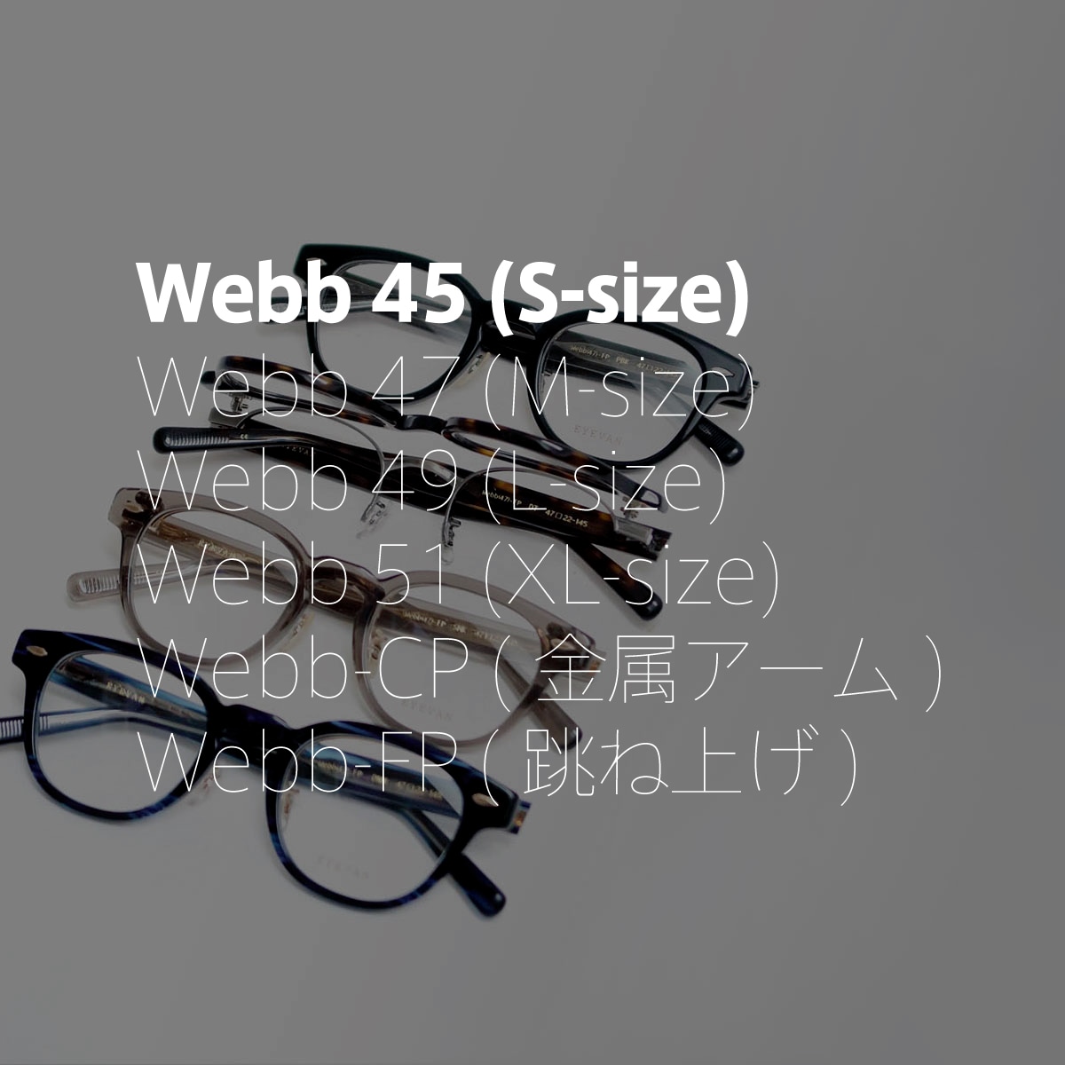 EYEVAN 定番Webb45サイズ
