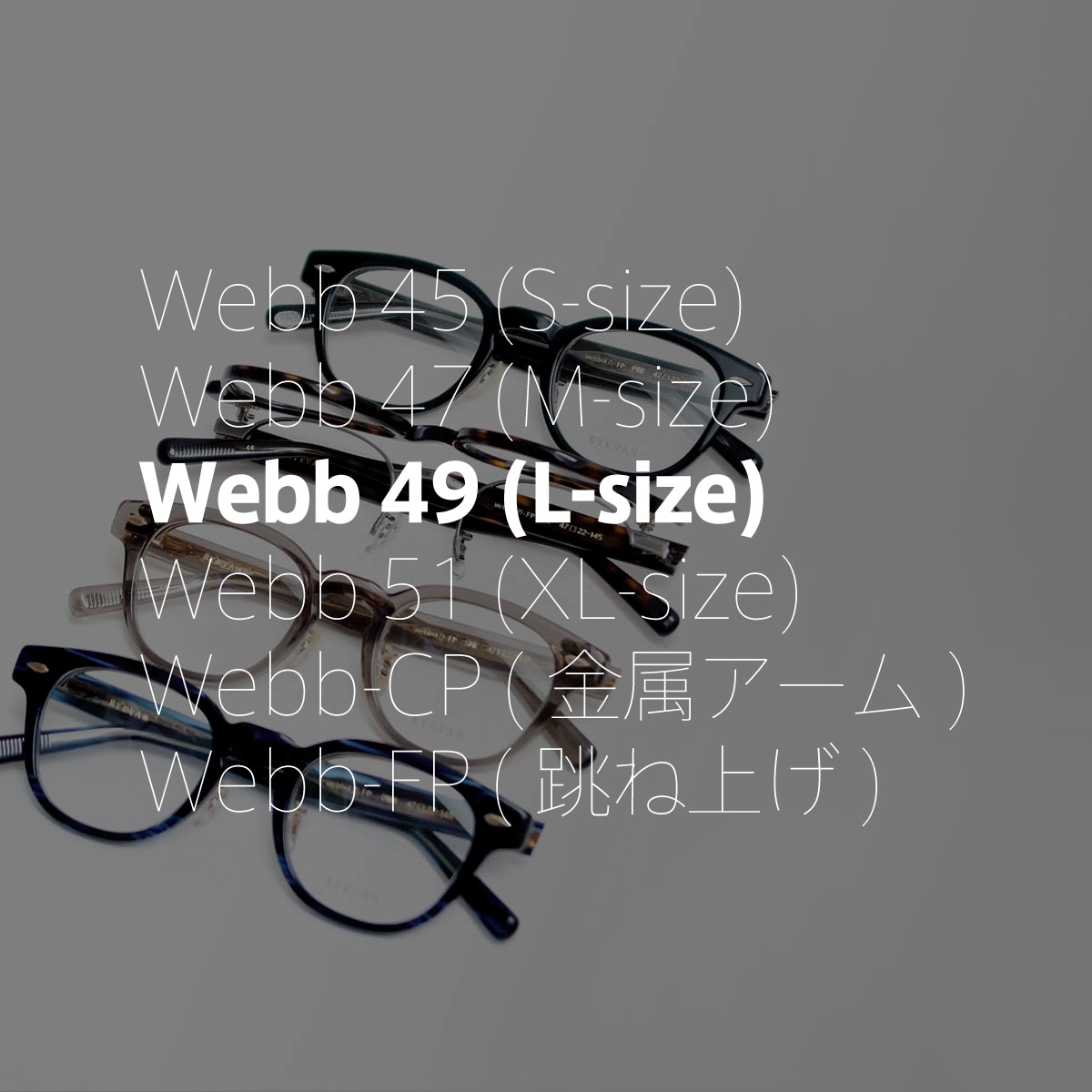 EYEVAN 定番Webb49サイズ
