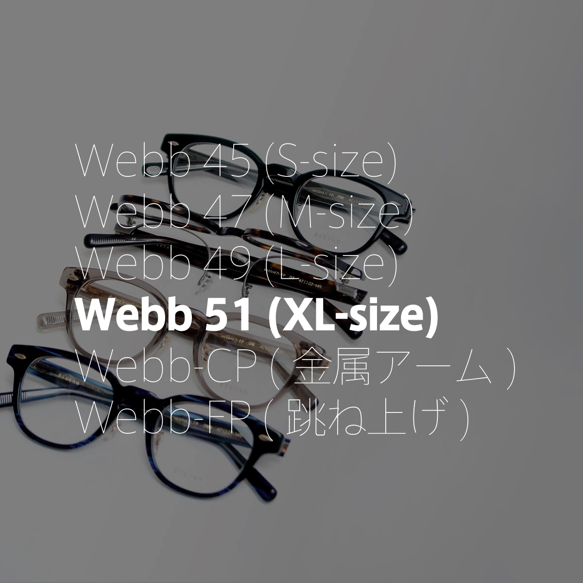 EYEVAN 定番Webb51サイズ