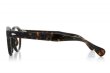 MOSCOT LEMTOSH TORTOISE 44