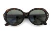 Oliver Goldsmith サングラス Hep(1963) Dark Tortoiseshell