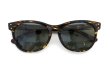 Oliver Goldsmith サングラス ANNABEL-f Tobacco