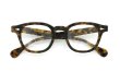 JULIUS TART OPTICAL 通販 AR-46-22 PL-002C TORTOISE