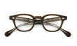 JULIUS TART OPTICAL 通販 AR-42-22 PL-009D BROWN-CRYSTAL