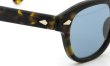 MOSCOT 日本限定 LEMTOSH TORG 44size JPN LTD