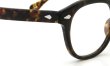 MOSCOT LEMTOSH TORTOISE 52