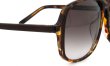 Oliver Goldsmith AMERICA(1972) Chocolate Leopard