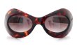 Oliver Goldsmith OGLE Tortoiseshell