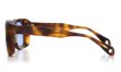 OLIVER PEOPLES s.0491 br.