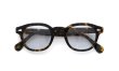 MOSCOT レムトッシュ サングラス通販 TORTOISE トゥルーグレー25%レンズ