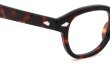 MOSCOT 定番メガネ通販 LEMTOSH BURNT TORT 44size