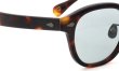 MOSCOT 限定生産サングラス通販 LEMTOSH 49size JPN LTD 18 B TORT PEWTER/GRY
