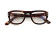 YELLOWS PLUS サングラス ELIAS C437 asian havana