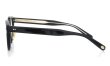 EYEVAN メガネ通販 Webb-CP(47) col.PBK 側面