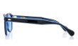 MOSCOT 110周年記念 限定サングラス LEMTOSH レムトッシュ BLUE 110 LE/CELEBRITY BLUE 49□24