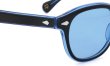 MOSCOT 110周年記念 限定サングラス LEMTOSH レムトッシュ BLUE 110 LE/CELEBRITY BLUE 49□24